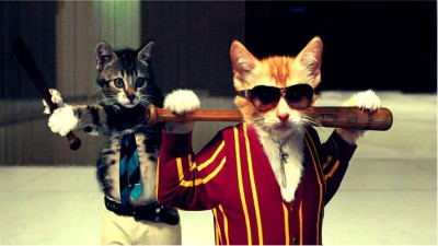 Cat gang.jpg