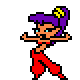 :shantae: